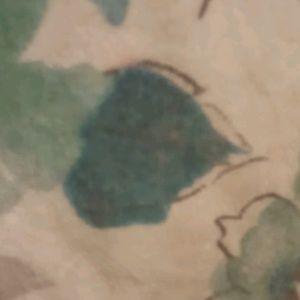 Meet your Posher, Bison